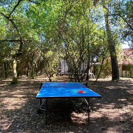 Ferienhaus Maison De De Famille Sous Les Pins