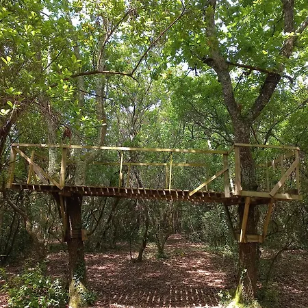 Maison De De Famille Sous Les Pins *