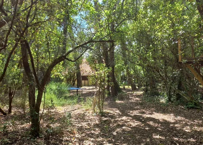 Maison De De Famille Sous Les Pins * Gujan-Mestras